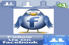Follow Article Marketing Products On Facebook